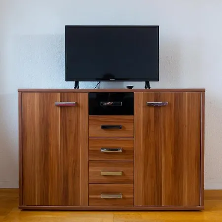 Innenstadt 3 Zimmer Altbauwohnung Apartment Mainz